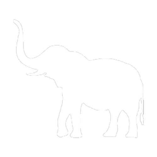 Elefante